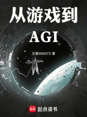 从游戏到AGI在线阅读