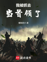 我被抓去当首领了