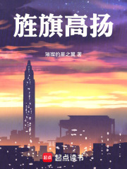 旌旗高扬在线阅读