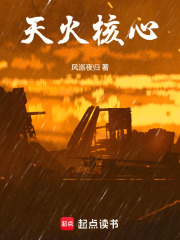 天火核心在线阅读