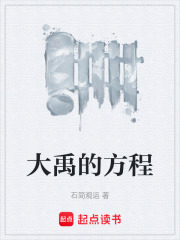 大禹的方程在线阅读