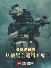 卡莫纳日志：从被黑金通缉开始在线阅读