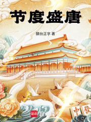 节度盛唐在线阅读
