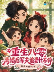 重生八零军夫追妻忙不停
