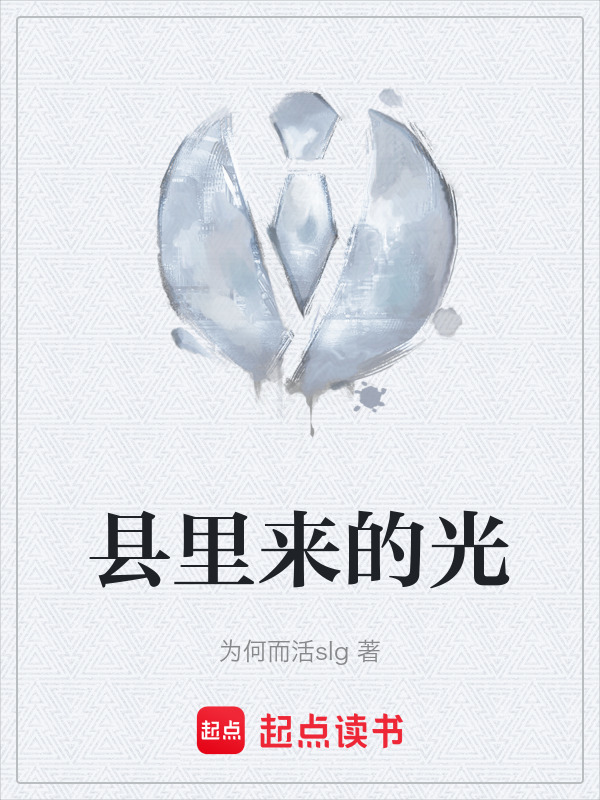 县里来的光在线阅读