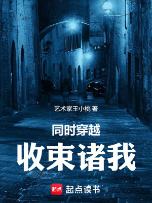 同时穿越，收束诸我封面