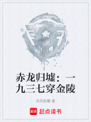 赤龙归墟：一九三七穿金陵在线阅读
