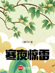 寒夜惊雷在线阅读
