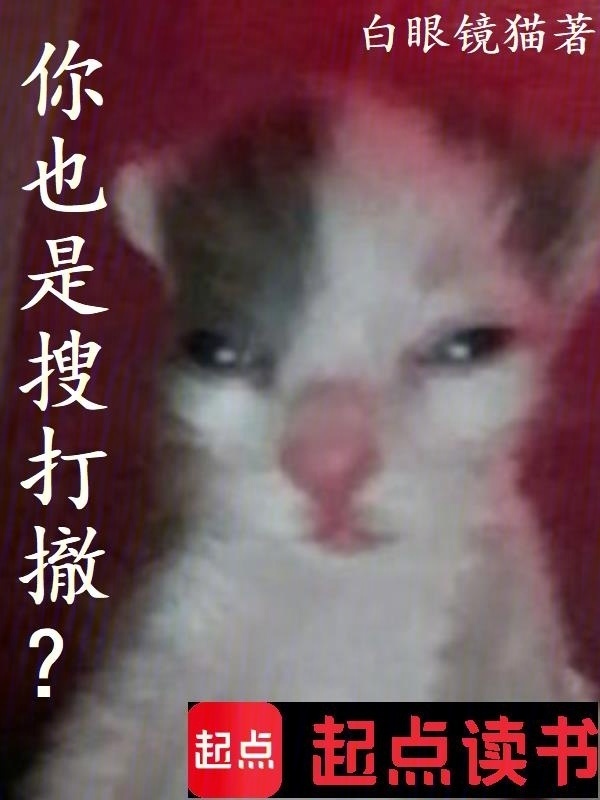 你也是搜打撤？在线阅读