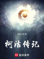 柯洁传记在线阅读