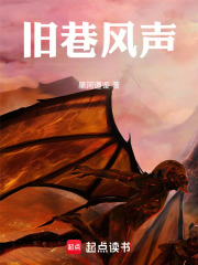 旧巷风声在线阅读