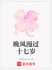 晚风漫过十七岁在线阅读