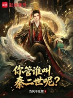 你管谁叫秦二世呢？封面