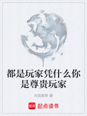 都是玩家凭什么你是尊贵玩家在线阅读