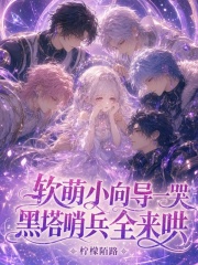 软萌小向导一哭，黑塔哨兵全来哄在线阅读