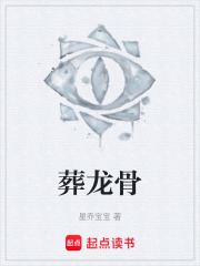 葬龙骨在线阅读