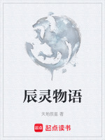 辰灵物语封面