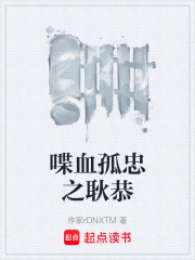 喋血孤忠之耿恭在线阅读