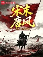 宋末唐风封面