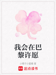 我会在巴黎许愿在线阅读