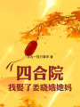 四合院，我娶了娄晓娥她妈在线阅读