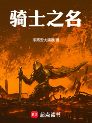 以骑士之名！