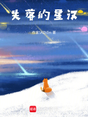 失落的星汉封面