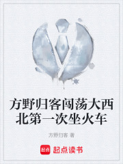 方野归客闯荡大西北第一次坐火车在线阅读