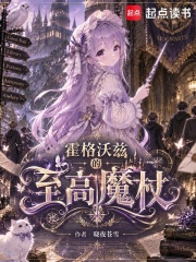 霍格沃茨的至高魔杖 封面