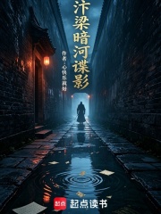 汴梁暗河谍影在线阅读