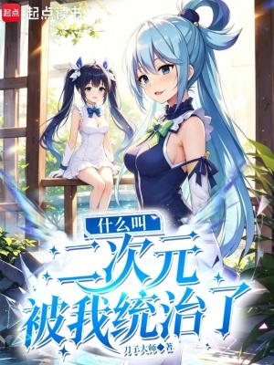 什么叫二次元被我统治了封面