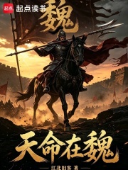 天命在魏:冉闵绝境翻盘录 封面