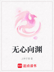 无心向渊在线阅读