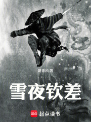 雪夜钦差在线阅读