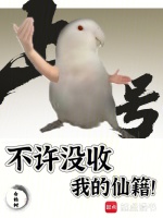 不许没收我的仙籍！封面