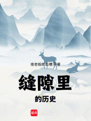 缝隙里的历史在线阅读