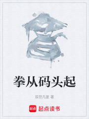 拳从码头起在线阅读
