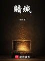 暗城最新章节在线阅读
