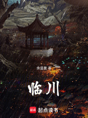 临川 封面