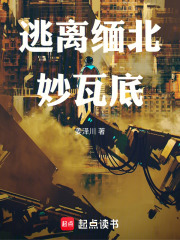 逃离缅北妙瓦底在线阅读
