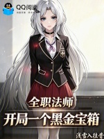 全职法师：开局一个黑金宝箱封面