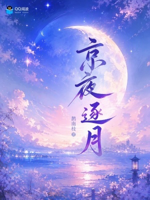 京夜逐月封面