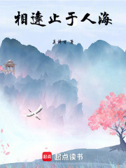 相逢止于人海在线阅读