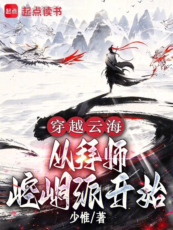 穿越云海：从拜师崆峒派开始在线阅读