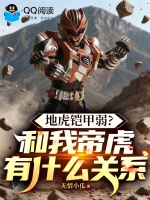地虎铠甲弱？和我帝虎有什么关系封面