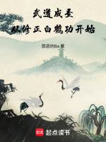 武道成圣：从修正白鹤功开始在线阅读