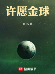 许愿金球 封面