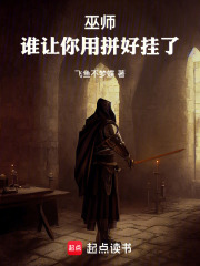 巫师：谁让你用拼好挂了在线阅读