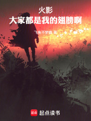火影：大家都是我的翅膀啊在线阅读
