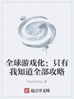 全球游戏化：只有我知道全部攻略封面